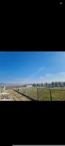 Yorum fotoğrafı 5