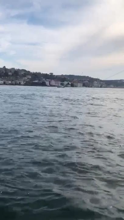 Fotoğraf 25