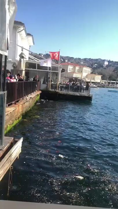 Fotoğraf 28