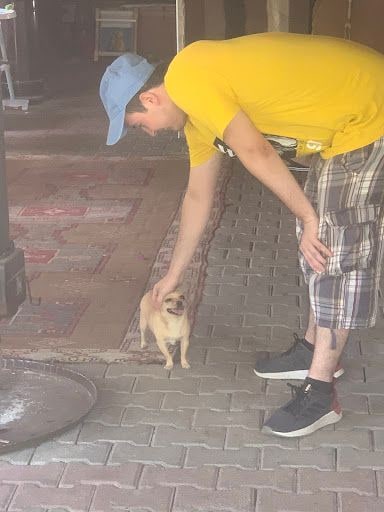 Yorum fotoğrafı 6
