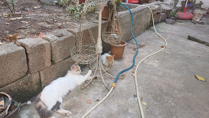 Yorum fotoğrafı 3