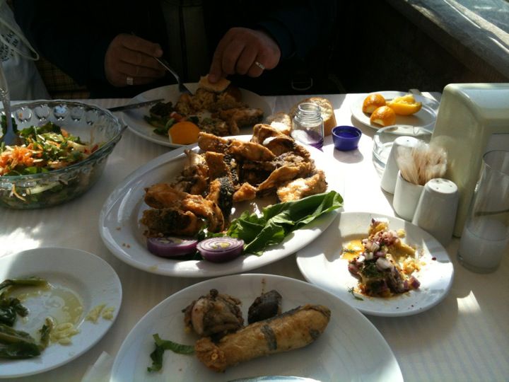 Fotoğraf 15