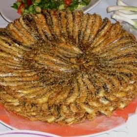 Fotoğraf 19