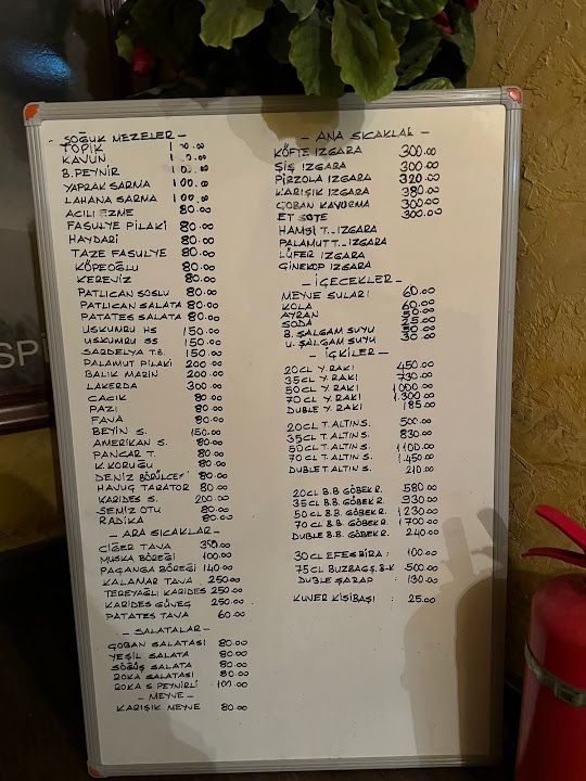 Fotoğraf 31