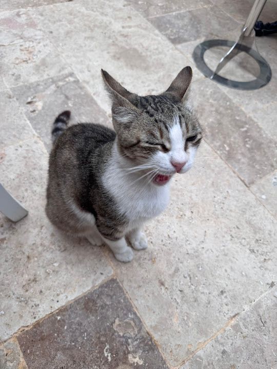 Yorum fotoğrafı 4