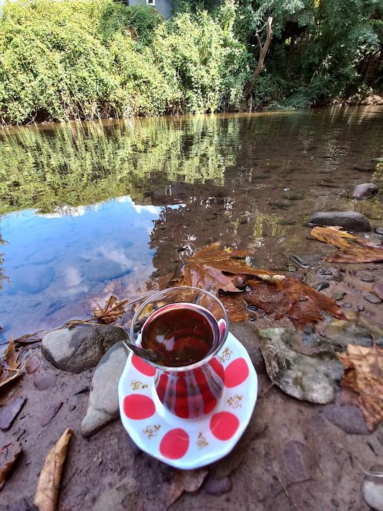 Fotoğraf 10