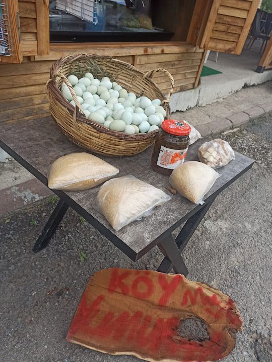 Fotoğraf 13