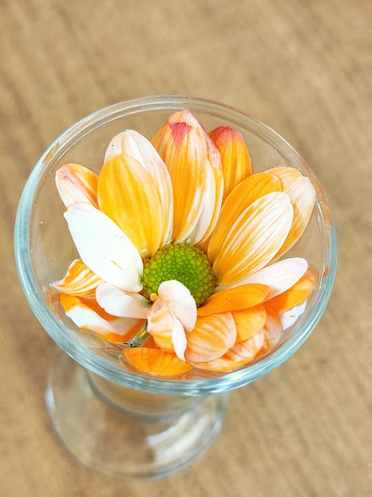 Fotoğraf 32