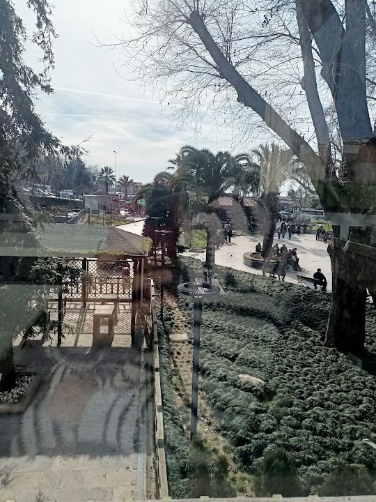 Yorum fotoğrafı 3
