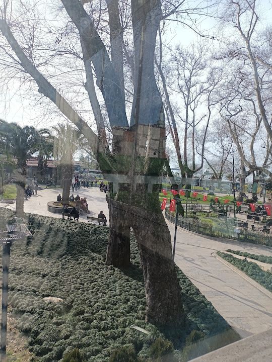 Yorum fotoğrafı 4