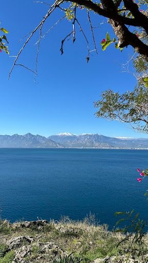 Yorum fotoğrafı 9
