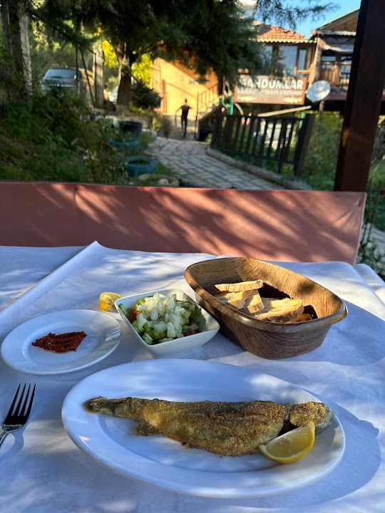 Fotoğraf 39