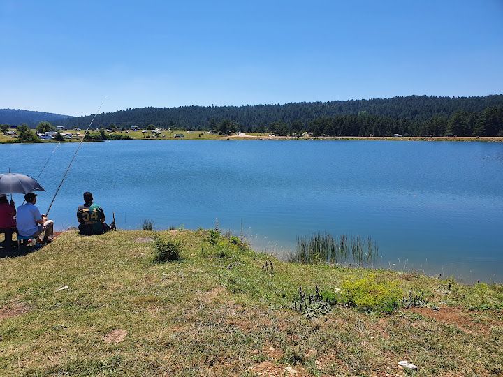 Fotoğraf 26