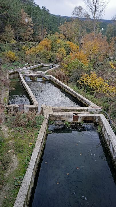 Fotoğraf 55