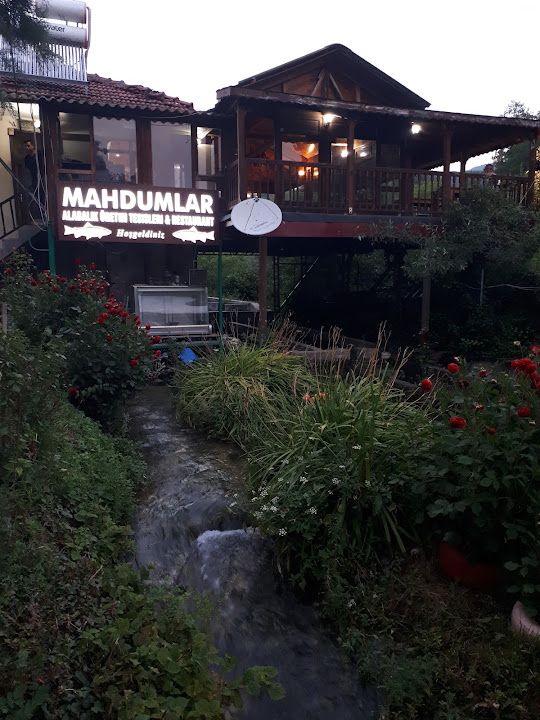 Fotoğraf 53