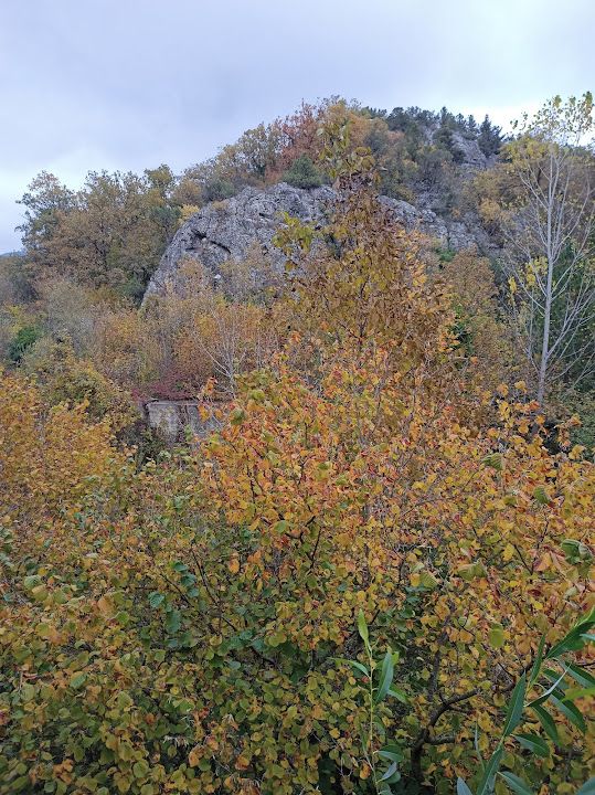 Fotoğraf 57
