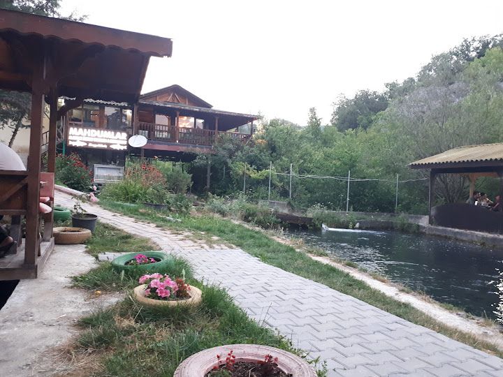 Fotoğraf 52