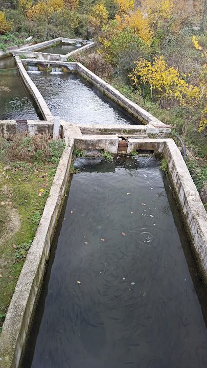 Fotoğraf 56