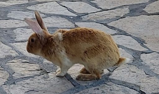 Fotoğraf 26