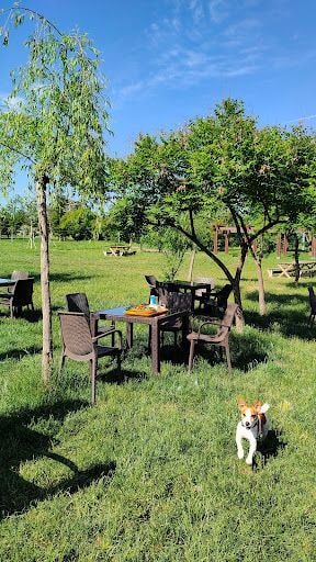 Fotoğraf 13
