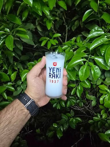Yorum fotoğrafı 7