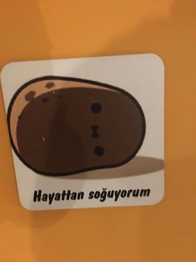 Yorum fotoğrafı 7