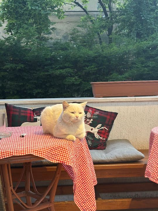 Fotoğraf 13