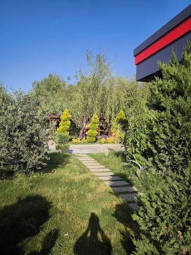 Yorum fotoğrafı 6