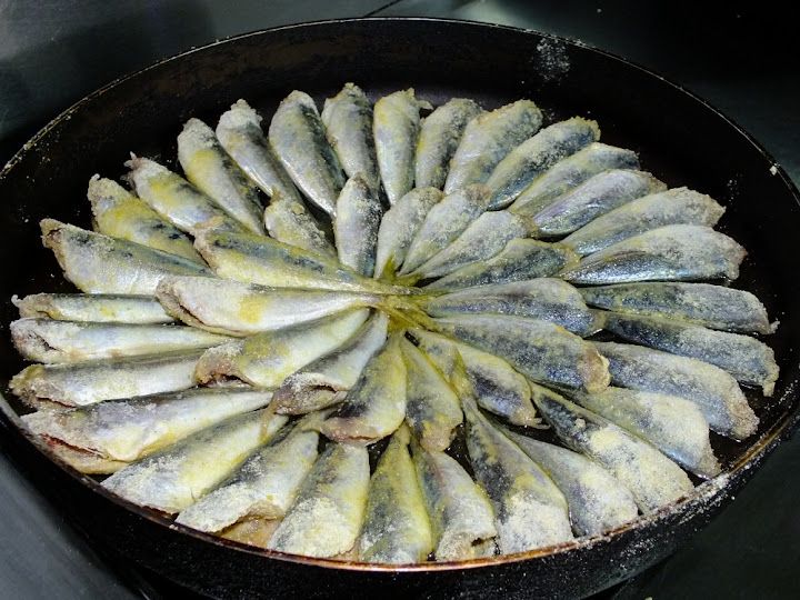 Fotoğraf 24