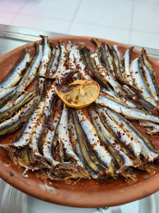 Fotoğraf 25