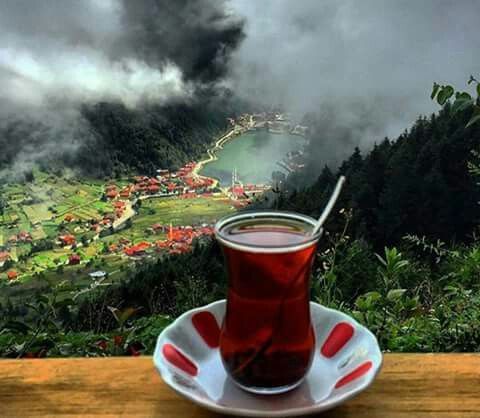 Fotoğraf 19