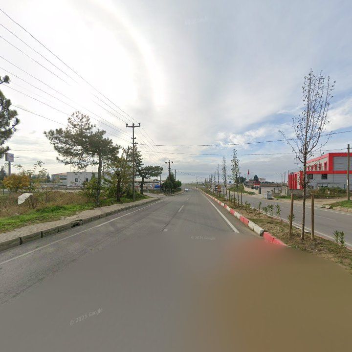 Fotoğraf 10