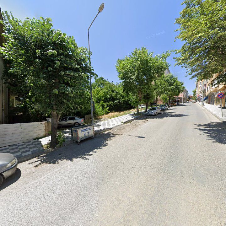 Fotoğraf 8