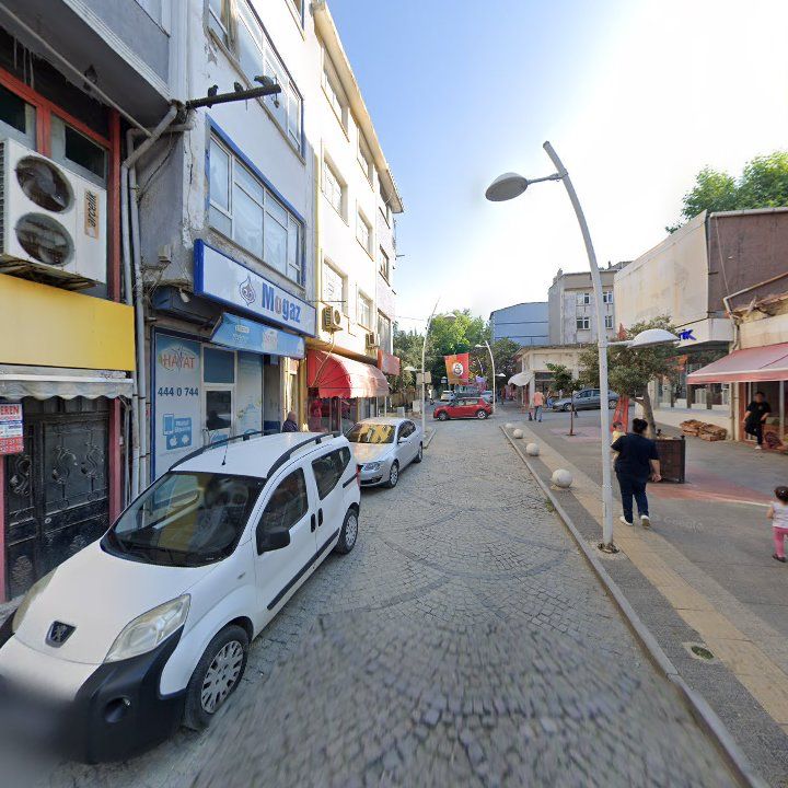 Fotoğraf 8