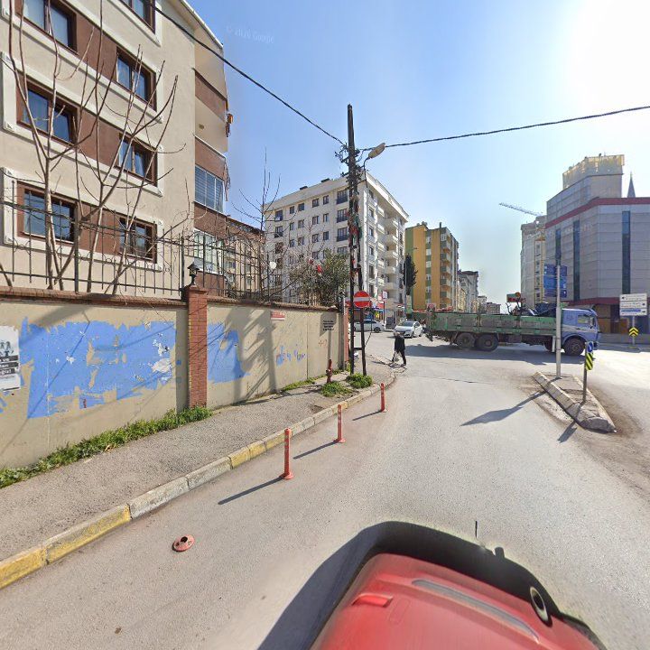 Fotoğraf 10