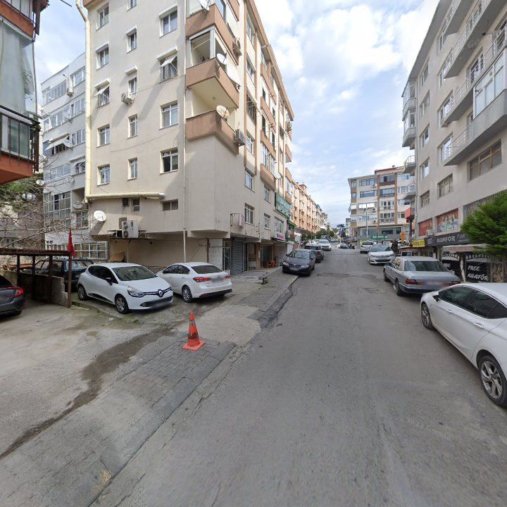 Fotoğraf 11