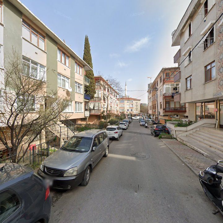 Fotoğraf 11
