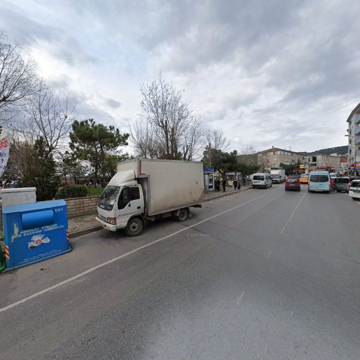 Fotoğraf 12
