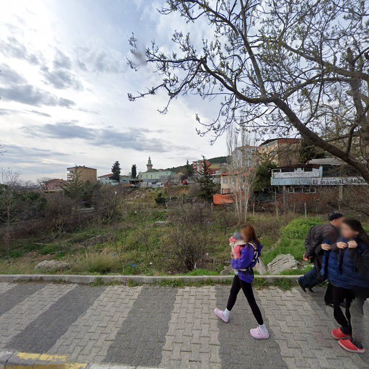Fotoğraf 10