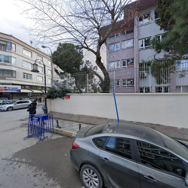 Fotoğraf 12
