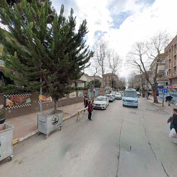 Fotoğraf 8