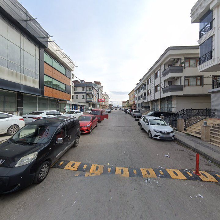 Fotoğraf 8