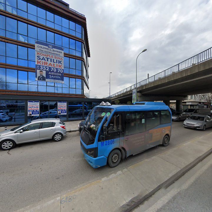Fotoğraf 13
