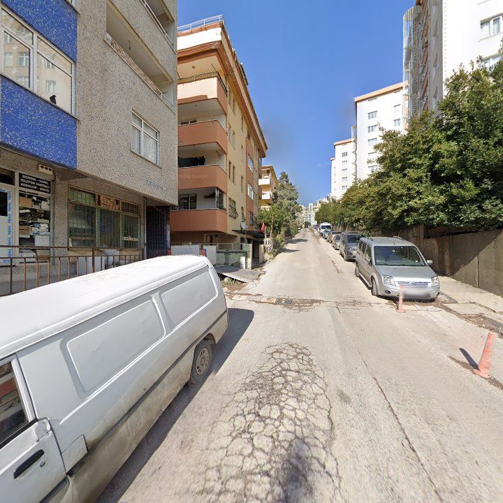 Fotoğraf 7