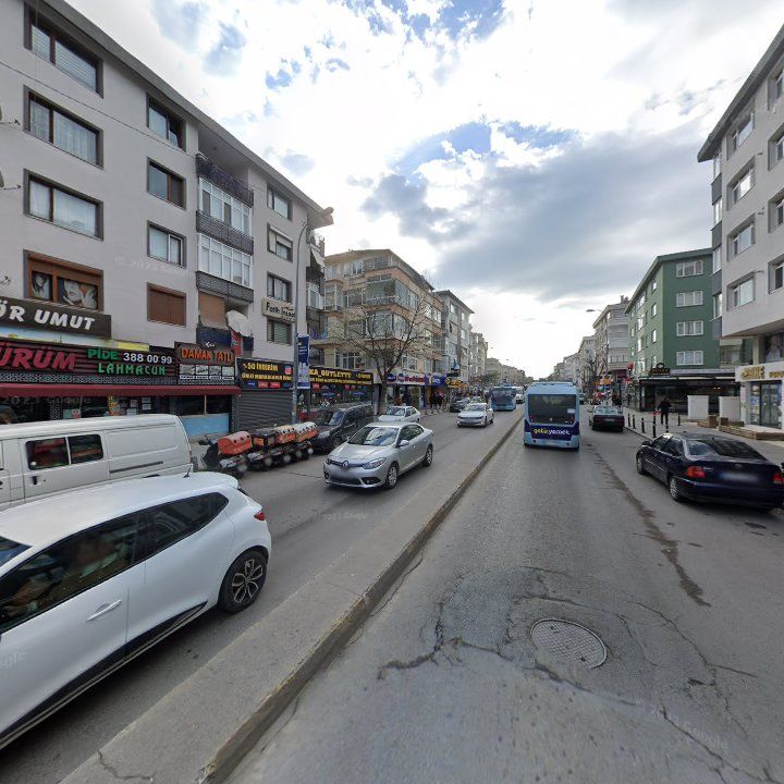 Fotoğraf 11
