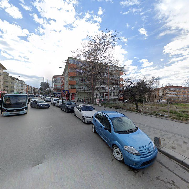 Fotoğraf 10