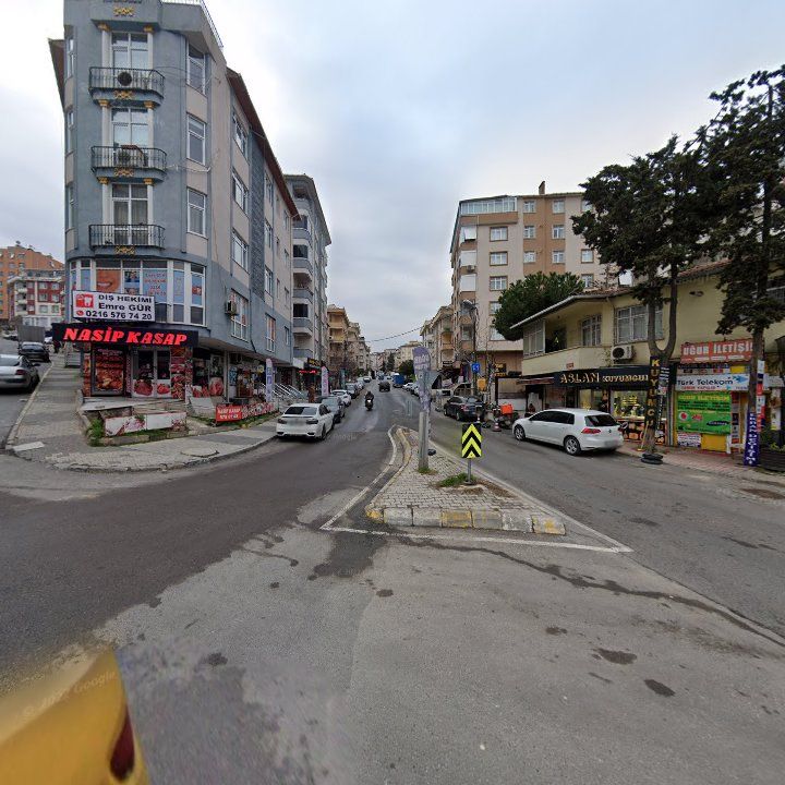Fotoğraf 12