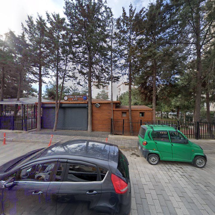Fotoğraf 7