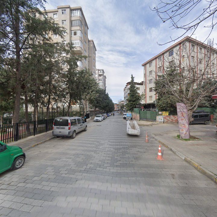 Fotoğraf 8