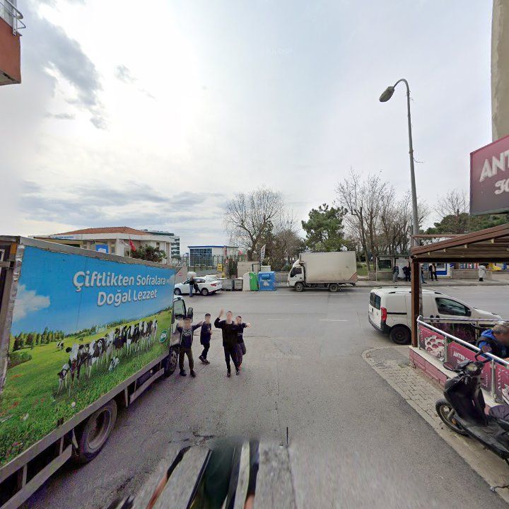 Fotoğraf 7
